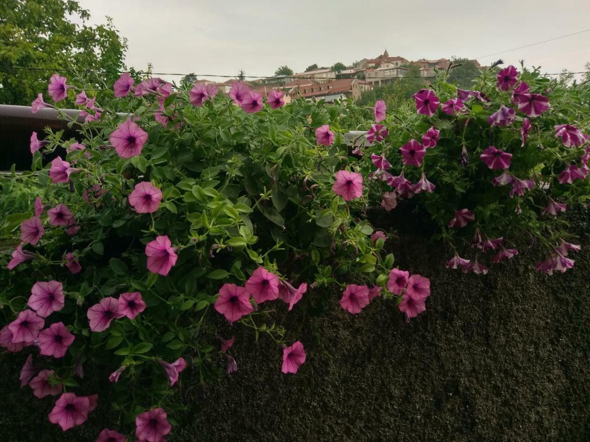Guest House Vista سينغناغي المظهر الخارجي الصورة