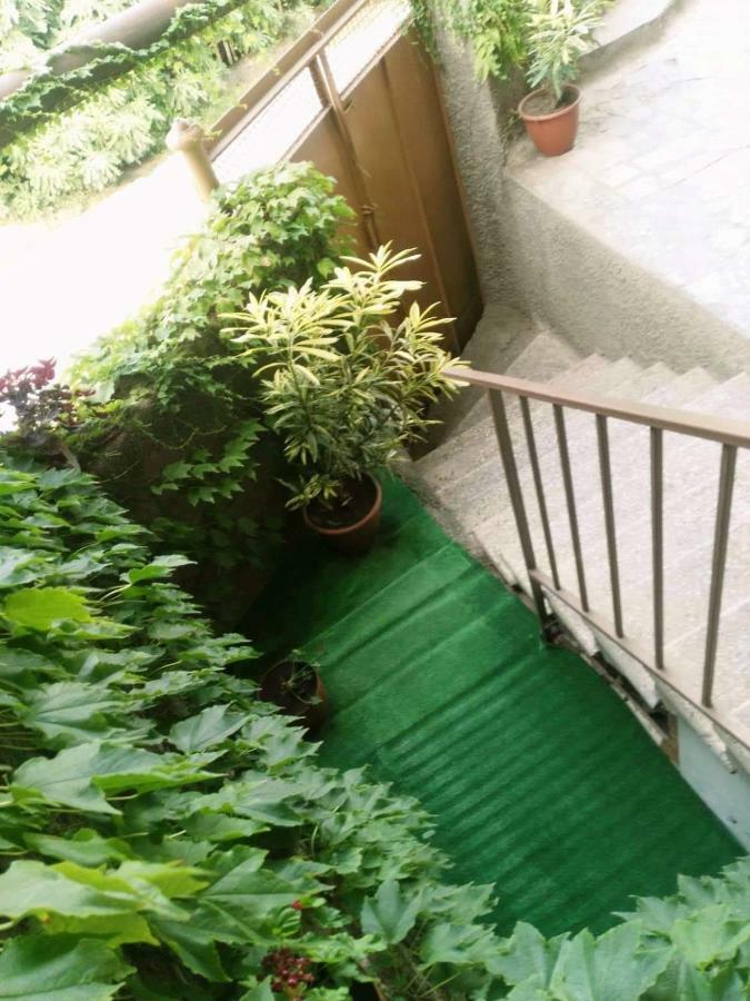 Guest House Vista سينغناغي المظهر الخارجي الصورة