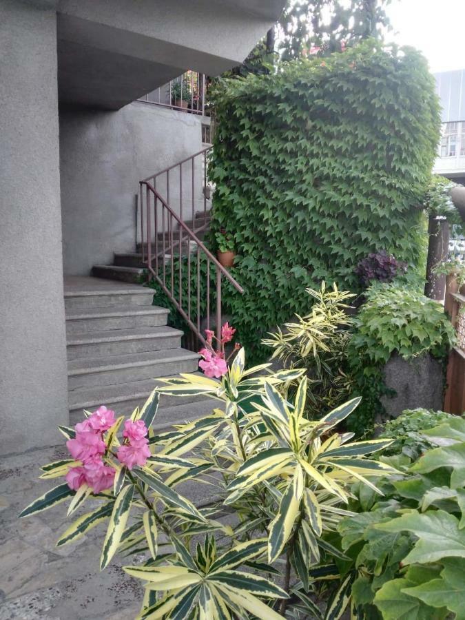 Guest House Vista سينغناغي المظهر الخارجي الصورة